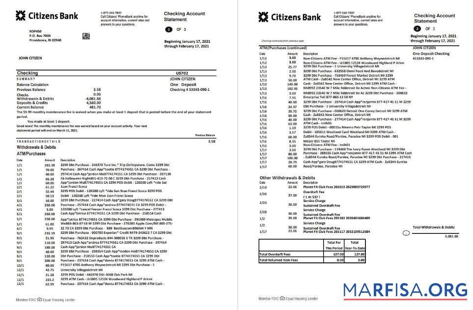 Realistic USA Citizens bank statement excel sample